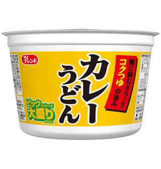 bic-curry-udon-f.jpg